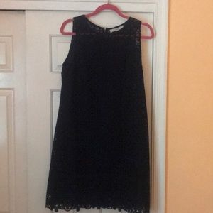 Loft Navy Shift Dress